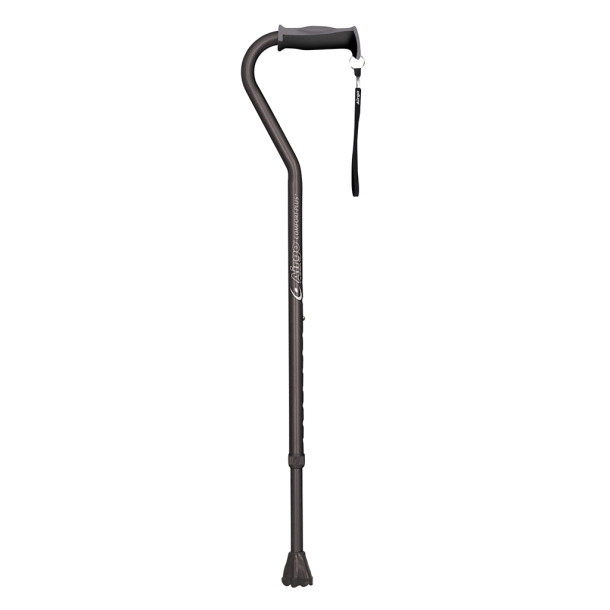 Aluminum Walking Stick